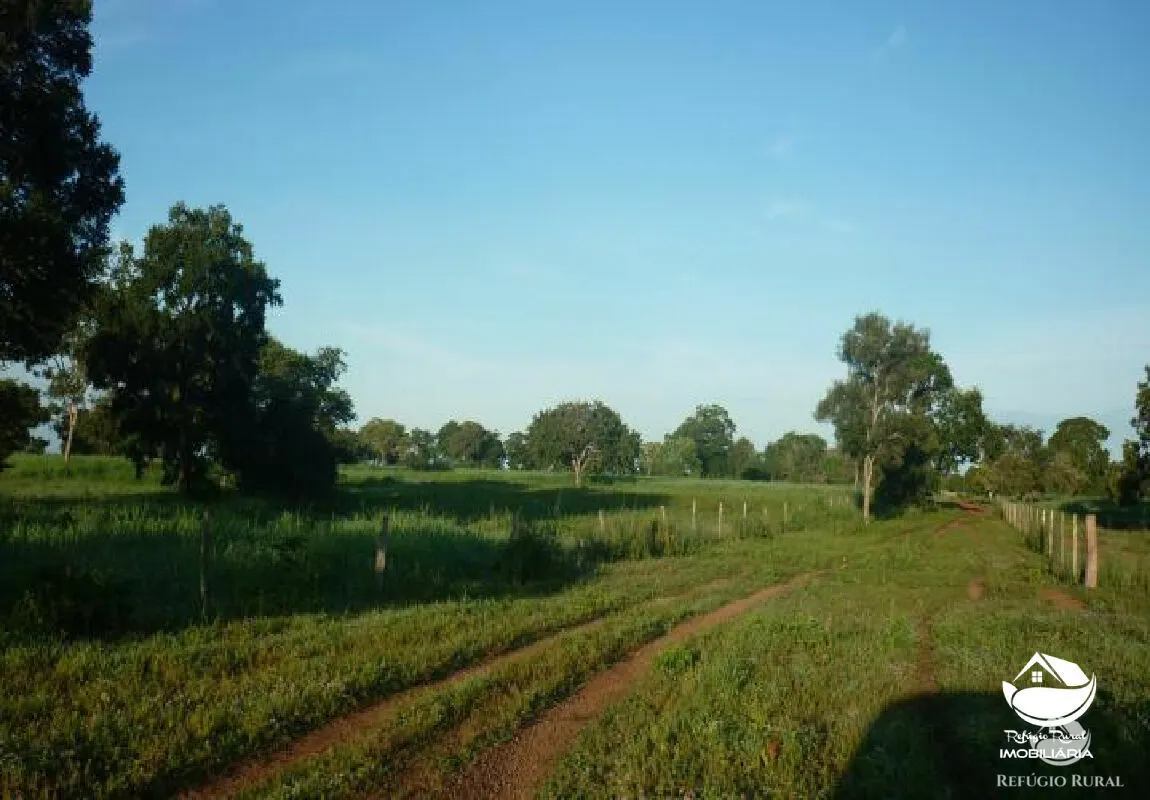 Farm for sale of 1,273 acres in Alvorada, TO, Brazil