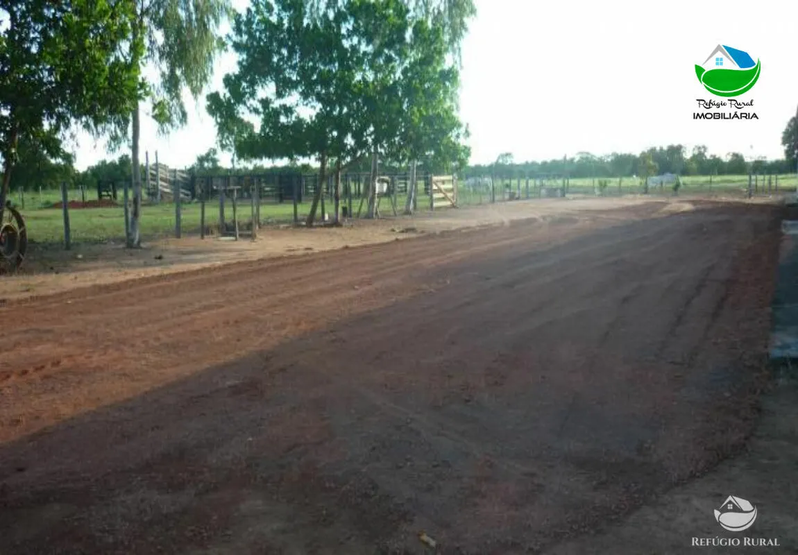 Farm for sale of 1,273 acres in Alvorada, TO, Brazil