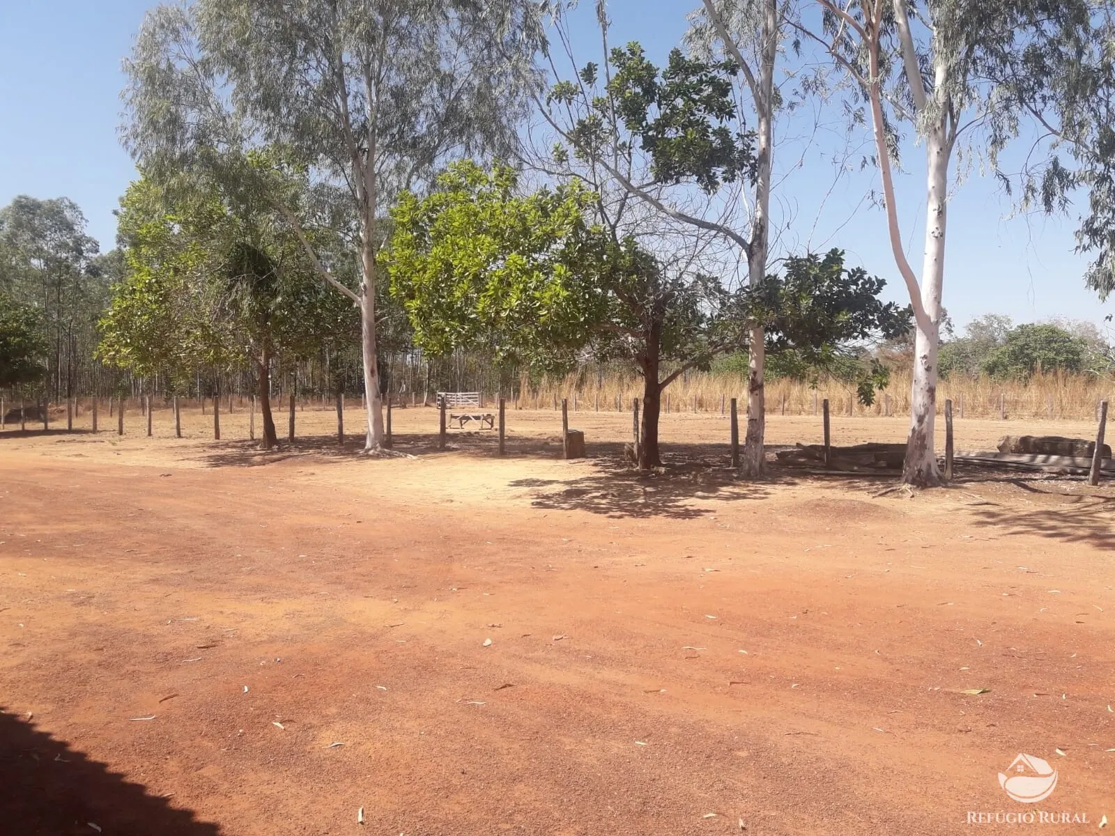 Farm for sale of 1,273 acres in Alvorada, TO, Brazil