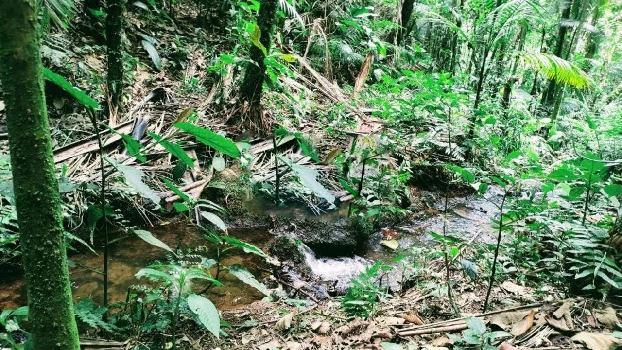 Terreno à venda de 3 ha em Monteiro Lobato, SP, Brasil