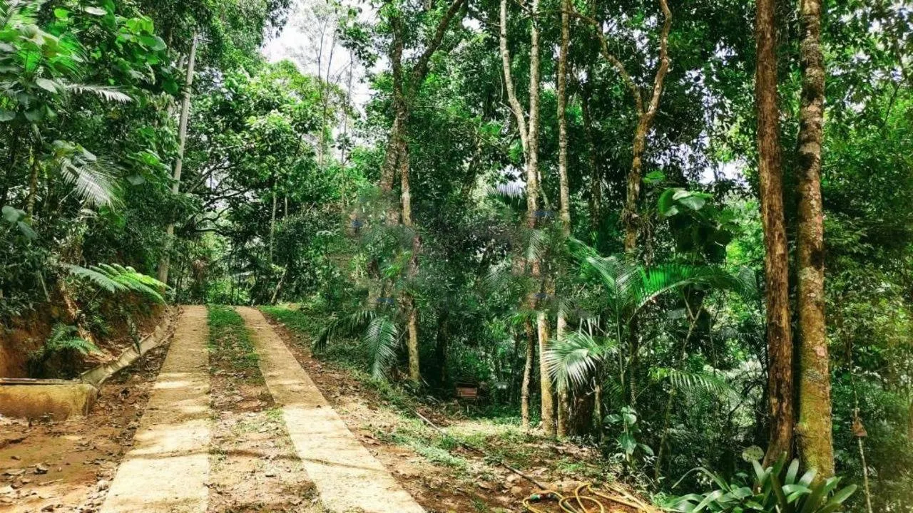 Terreno à venda de 3 ha em Monteiro Lobato, SP, Brasil