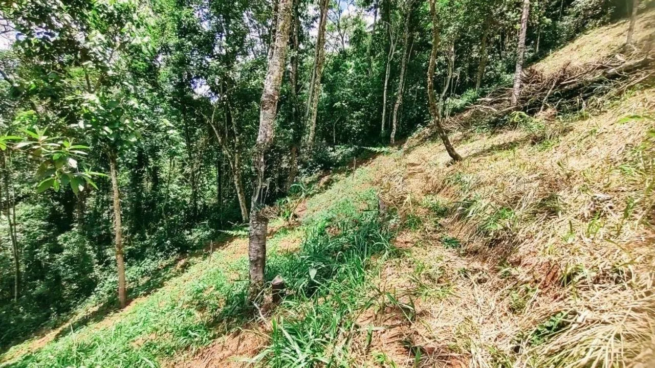 Terreno à venda de 3 ha em Monteiro Lobato, SP, Brasil