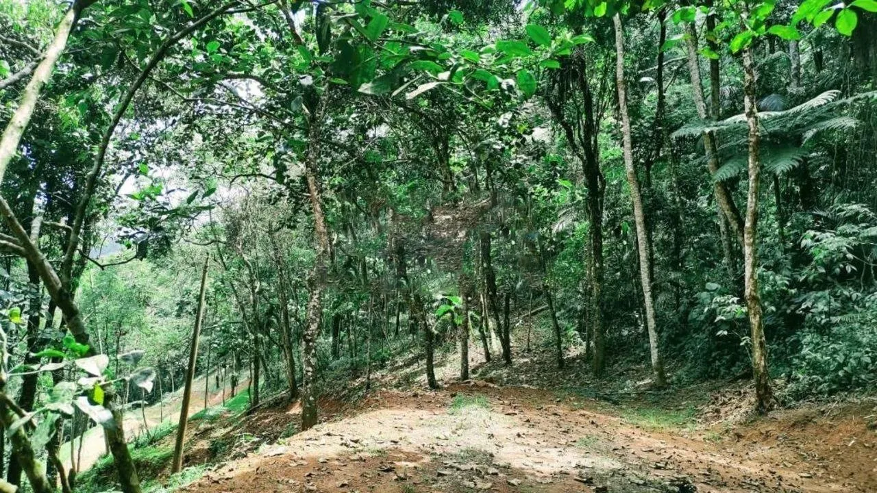 Terreno à venda de 3 ha em Monteiro Lobato, SP, Brasil