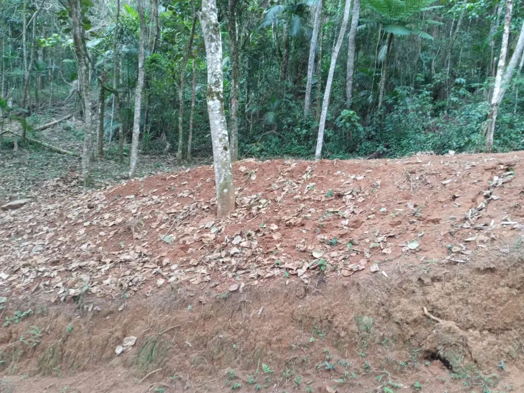 Terreno à venda de 3 ha em Monteiro Lobato, SP, Brasil