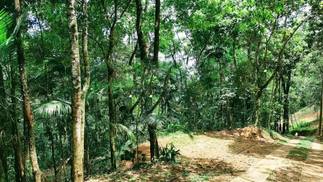 Terreno à venda de 3 ha em Monteiro Lobato, SP, Brasil