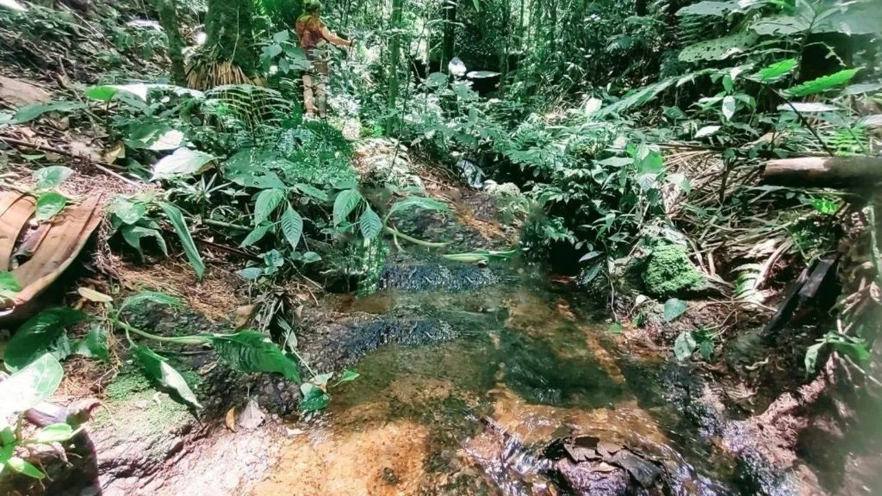 Terreno à venda de 3 ha em Monteiro Lobato, SP, Brasil