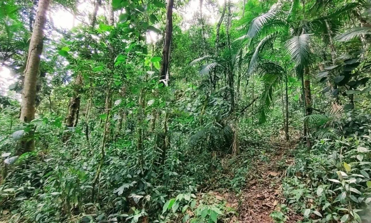 Terreno à venda de 3 ha em Monteiro Lobato, SP, Brasil
