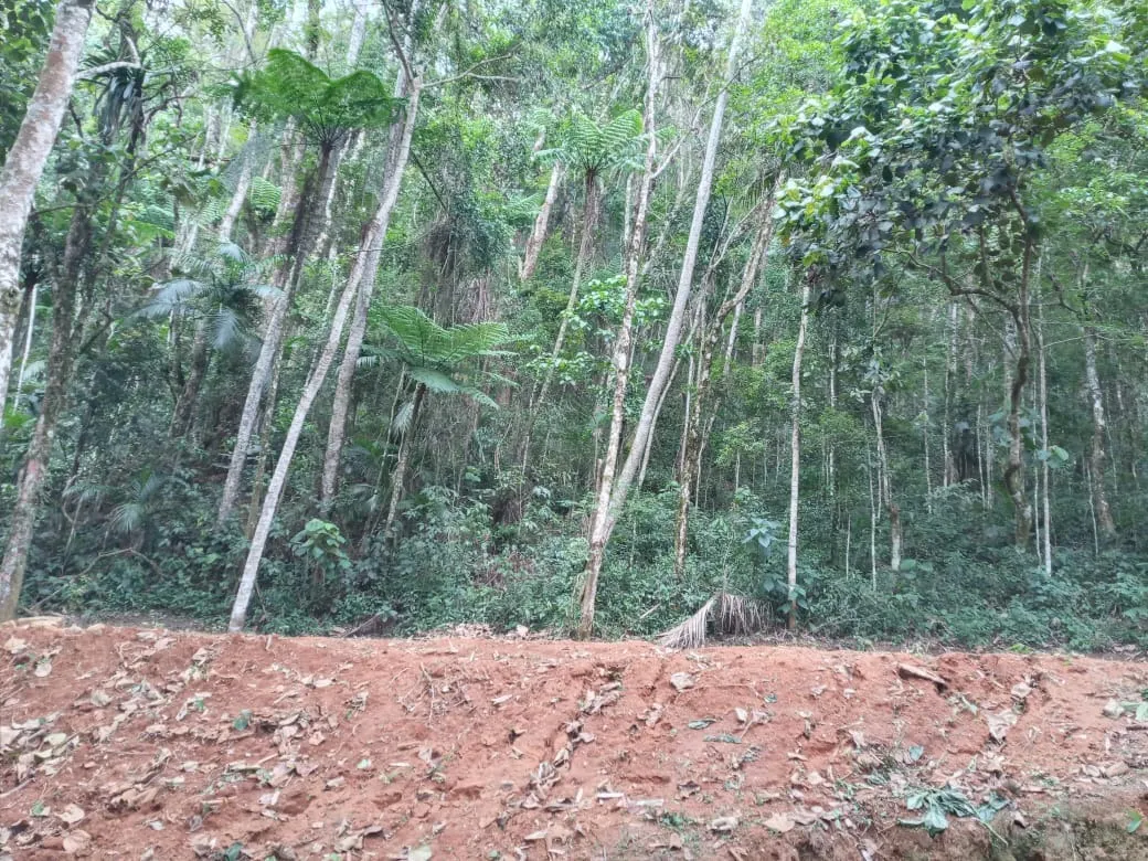 Terreno à venda de 3 ha em Monteiro Lobato, SP, Brasil
