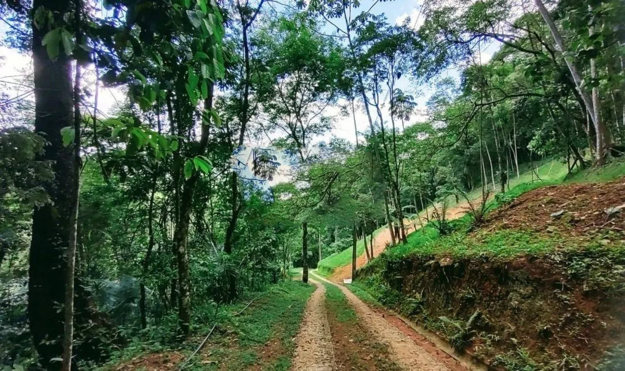 Terreno à venda de 3 ha em Monteiro Lobato, SP, Brasil