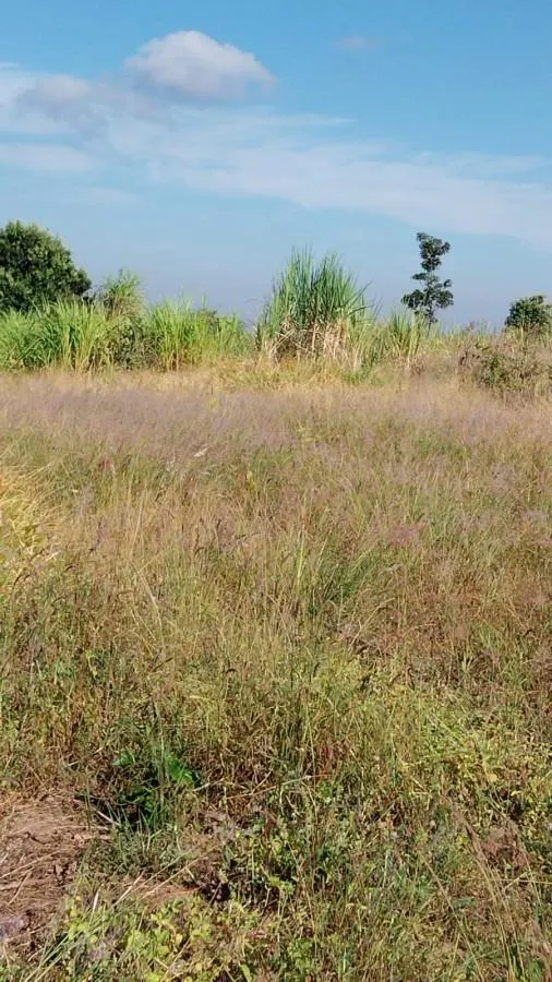 Sítio à venda de 3 ha em Cajuru, SP, Brasil