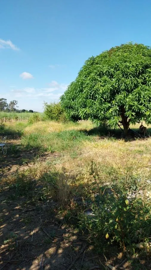 Sítio à venda de 3 ha em Cajuru, SP, Brasil