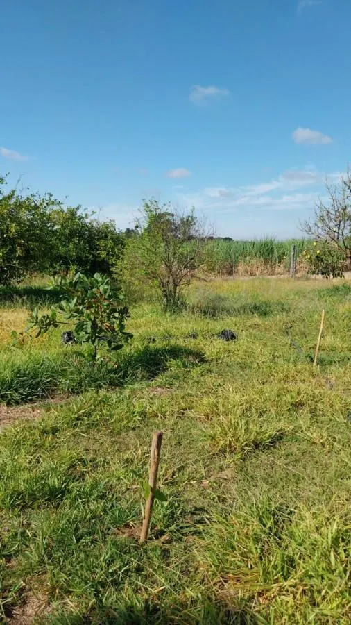 Sítio à venda de 3 ha em Cajuru, SP, Brasil