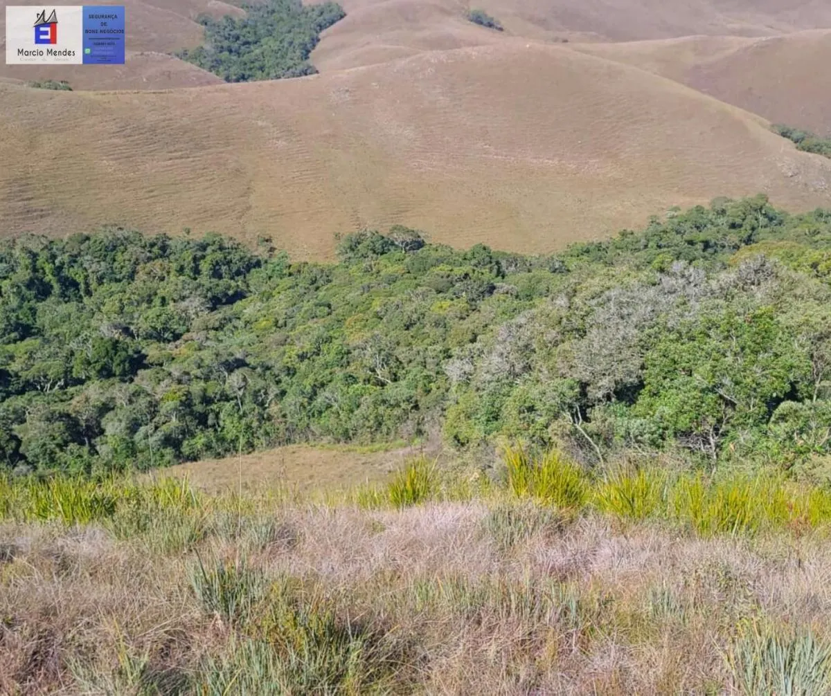 Sítio à venda de 24 ha em Silveiras, SP, Brasil