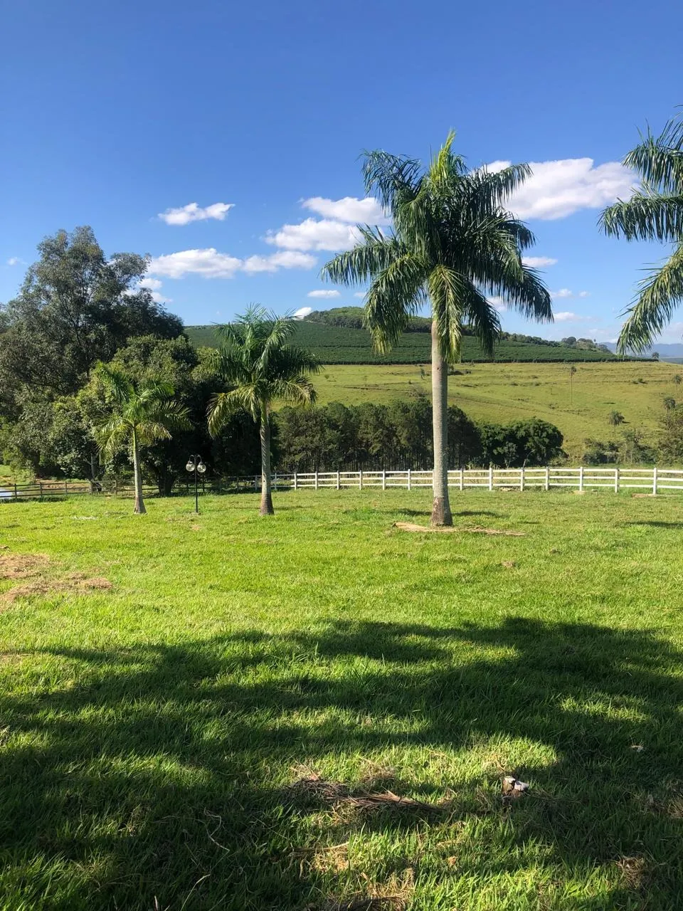 Fazenda à venda de 128 ha em São João da Boa Vista, SP, Brasil