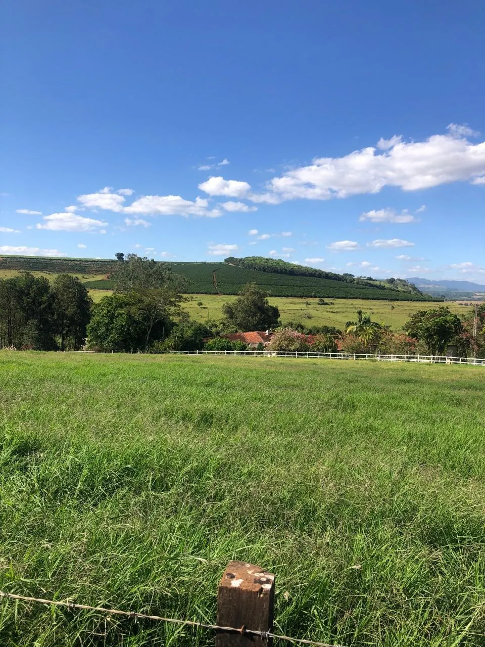 Fazenda à venda de 128 ha em São João da Boa Vista, SP, Brasil