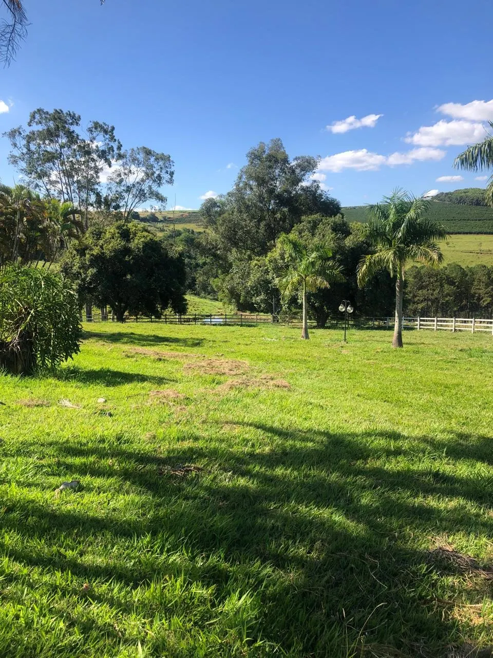 Fazenda à venda de 128 ha em São João da Boa Vista, SP, Brasil