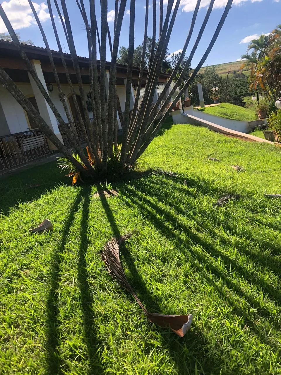 Fazenda à venda de 128 ha em São João da Boa Vista, SP, Brasil
