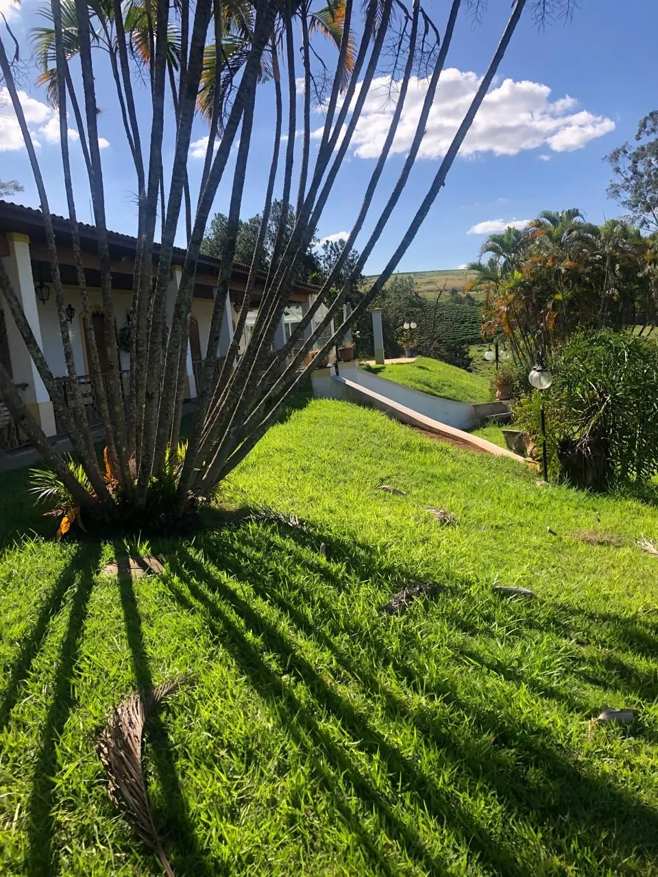 Fazenda à venda de 128 ha em São João da Boa Vista, SP, Brasil