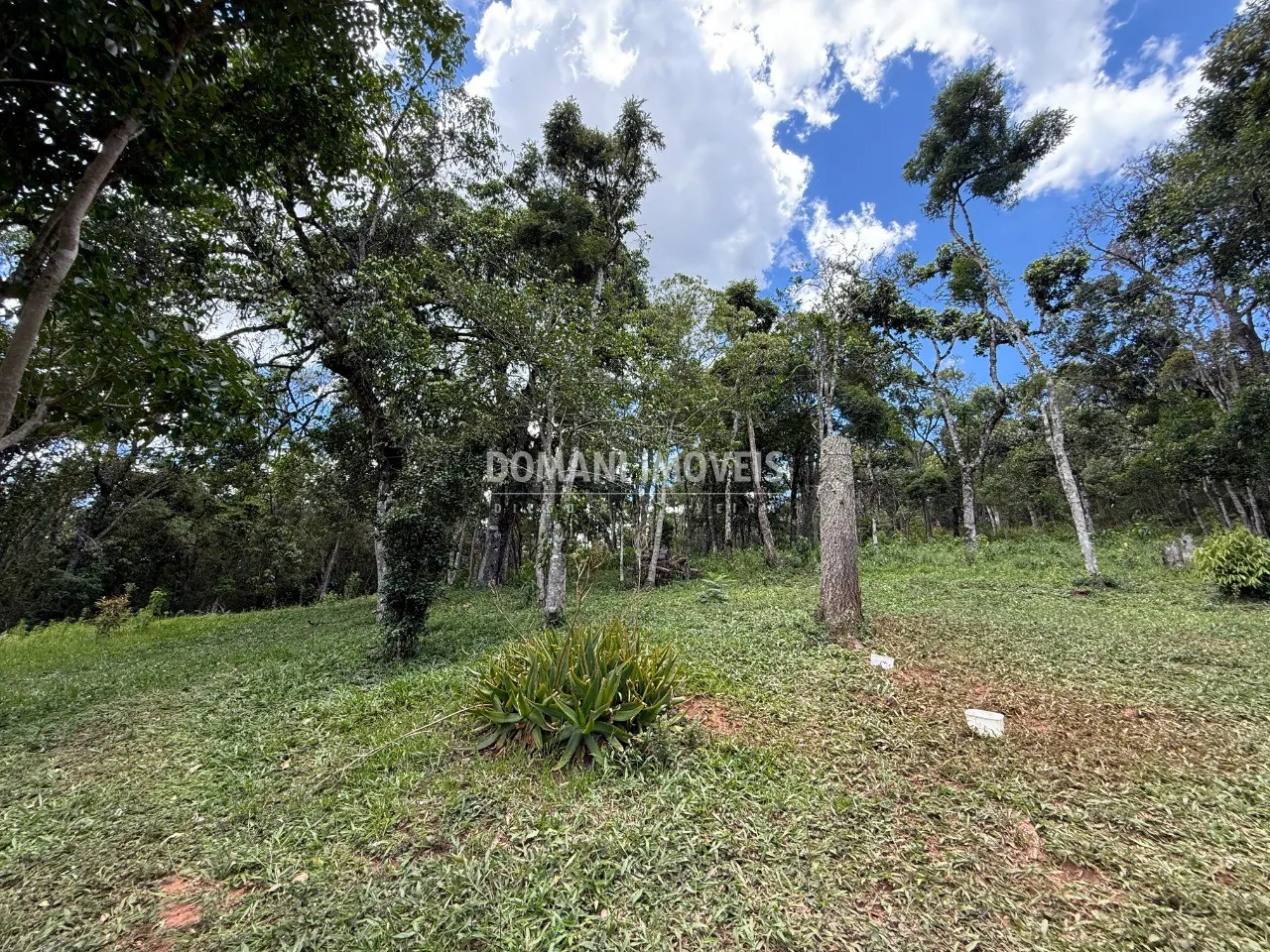 Casa à venda de 5.160 m² em Campos do Jordão, SP, Brasil