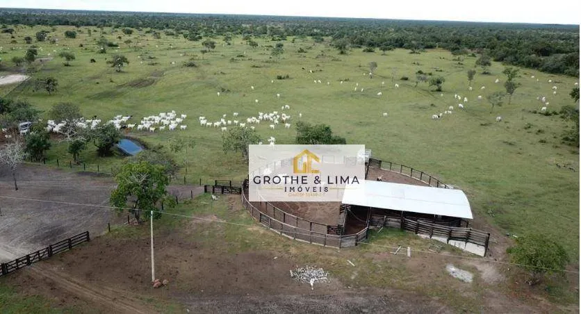 Fazenda à venda de 5.300 ha em Cocalinho, MT, Brasil