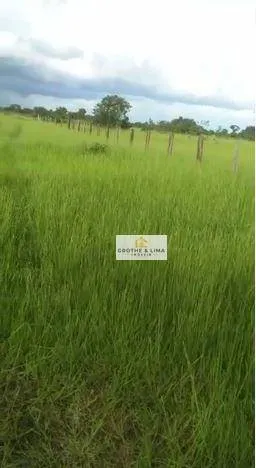 Fazenda à venda de 5.300 ha em Cocalinho, MT, Brasil