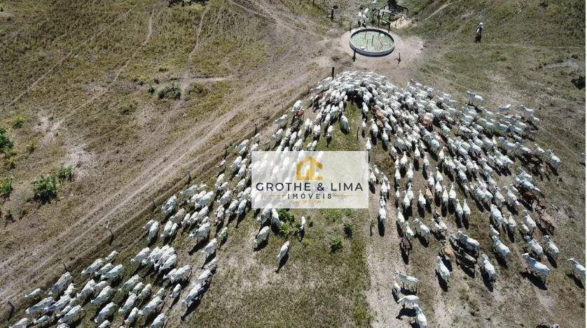 Fazenda à venda de 5.300 ha em Cocalinho, MT, Brasil