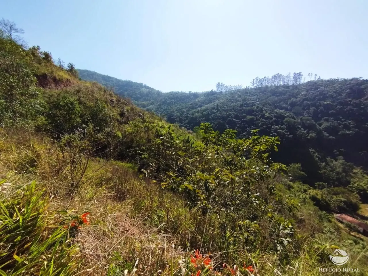 Farm for sale of 299 acres in Redenção da Serra, SP, Brazil