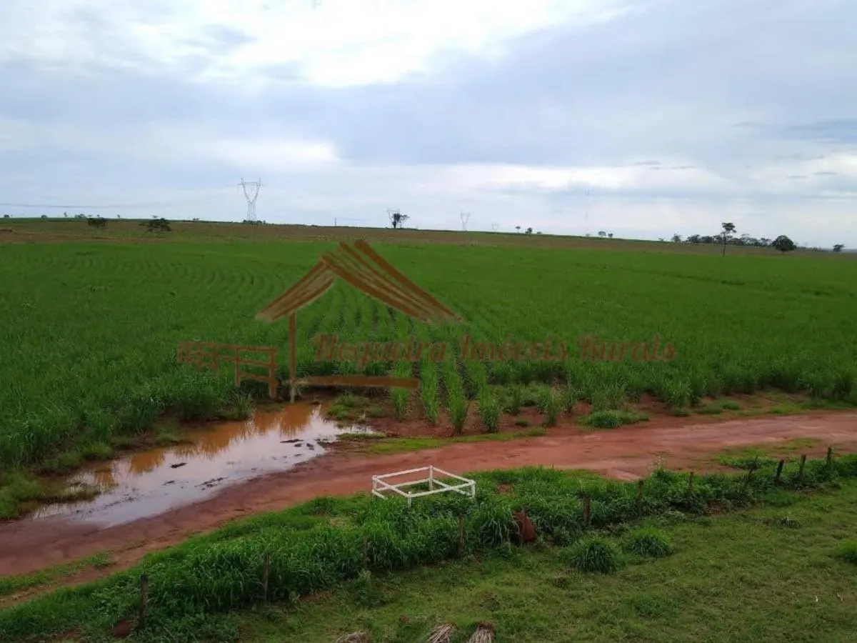 Fazenda à venda de 89 ha em Avaré, SP, Brasil