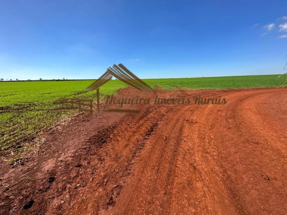 Fazenda à venda de 89 ha em Avaré, SP, Brasil