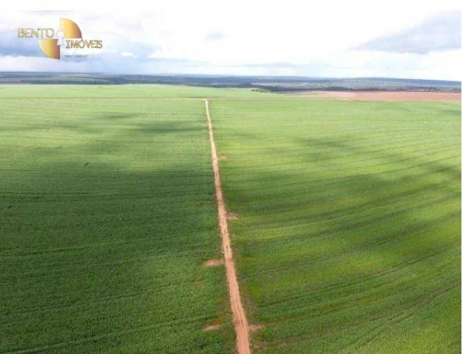 Fazenda à venda de 4.400 ha em Primavera do Leste, MT, Brasil