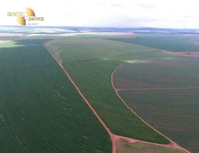 Fazenda à venda de 4.400 ha em Primavera do Leste, MT, Brasil