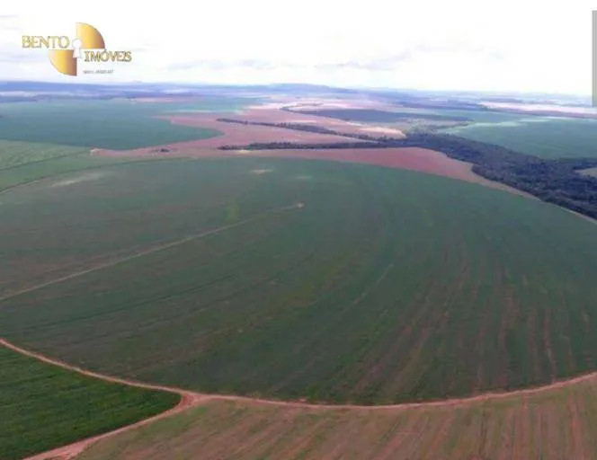 Fazenda à venda de 4.400 ha em Primavera do Leste, MT, Brasil