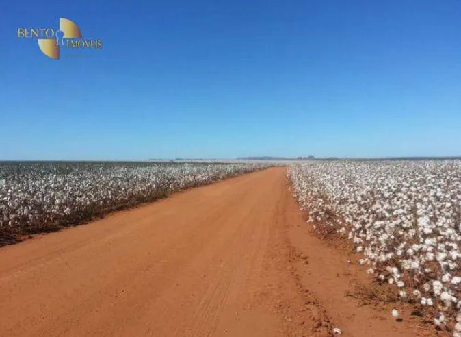 Fazenda à venda de 4.400 ha em Primavera do Leste, MT, Brasil