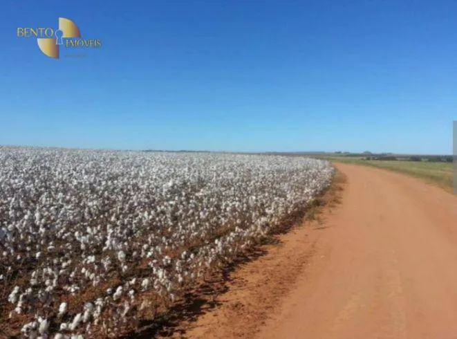 Fazenda à venda de 4.400 ha em Primavera do Leste, MT, Brasil