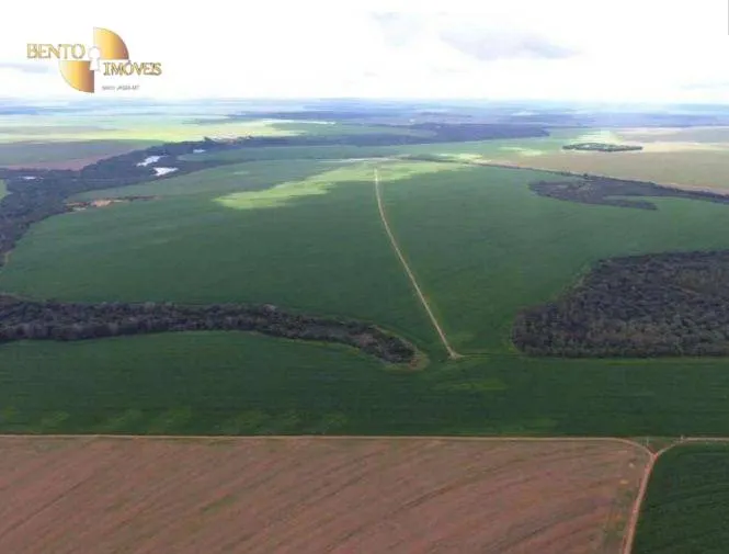 Fazenda à venda de 4.400 ha em Primavera do Leste, MT, Brasil