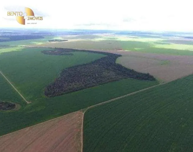 Fazenda à venda de 4.400 ha em Primavera do Leste, MT, Brasil