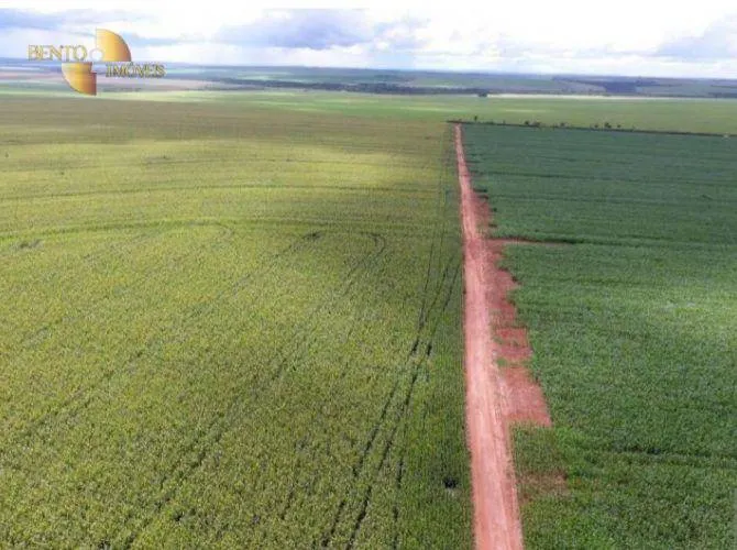 Fazenda à venda de 4.400 ha em Primavera do Leste, MT, Brasil