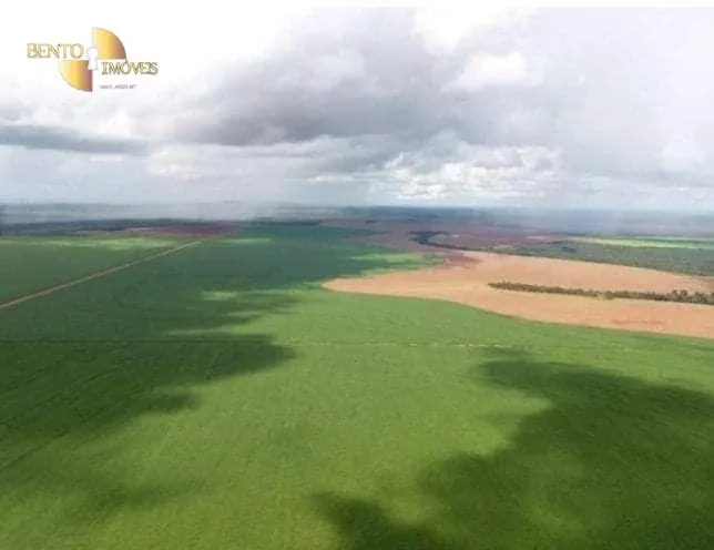 Fazenda à venda de 4.400 ha em Primavera do Leste, MT, Brasil