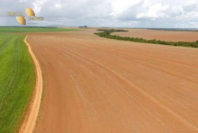 Fazenda à venda de 4.400 ha em Primavera do Leste, MT, Brasil
