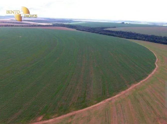 Fazenda à venda de 4.400 ha em Primavera do Leste, MT, Brasil