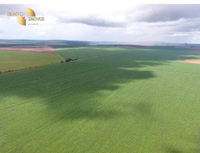 Fazenda à venda de 4.400 ha em Primavera do Leste, MT, Brasil