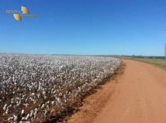 Fazenda à venda de 4.400 ha em Primavera do Leste, MT, Brasil