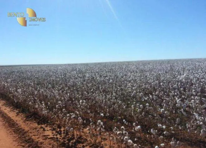 Fazenda à venda de 4.400 ha em Primavera do Leste, MT, Brasil