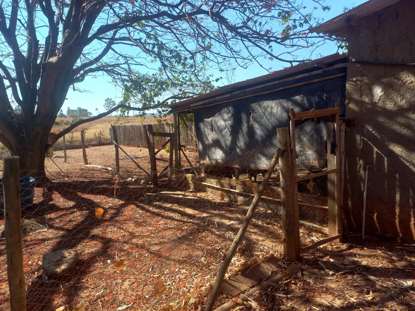 Sítio à venda de 7 ha em Brasília, DF, Brasil
