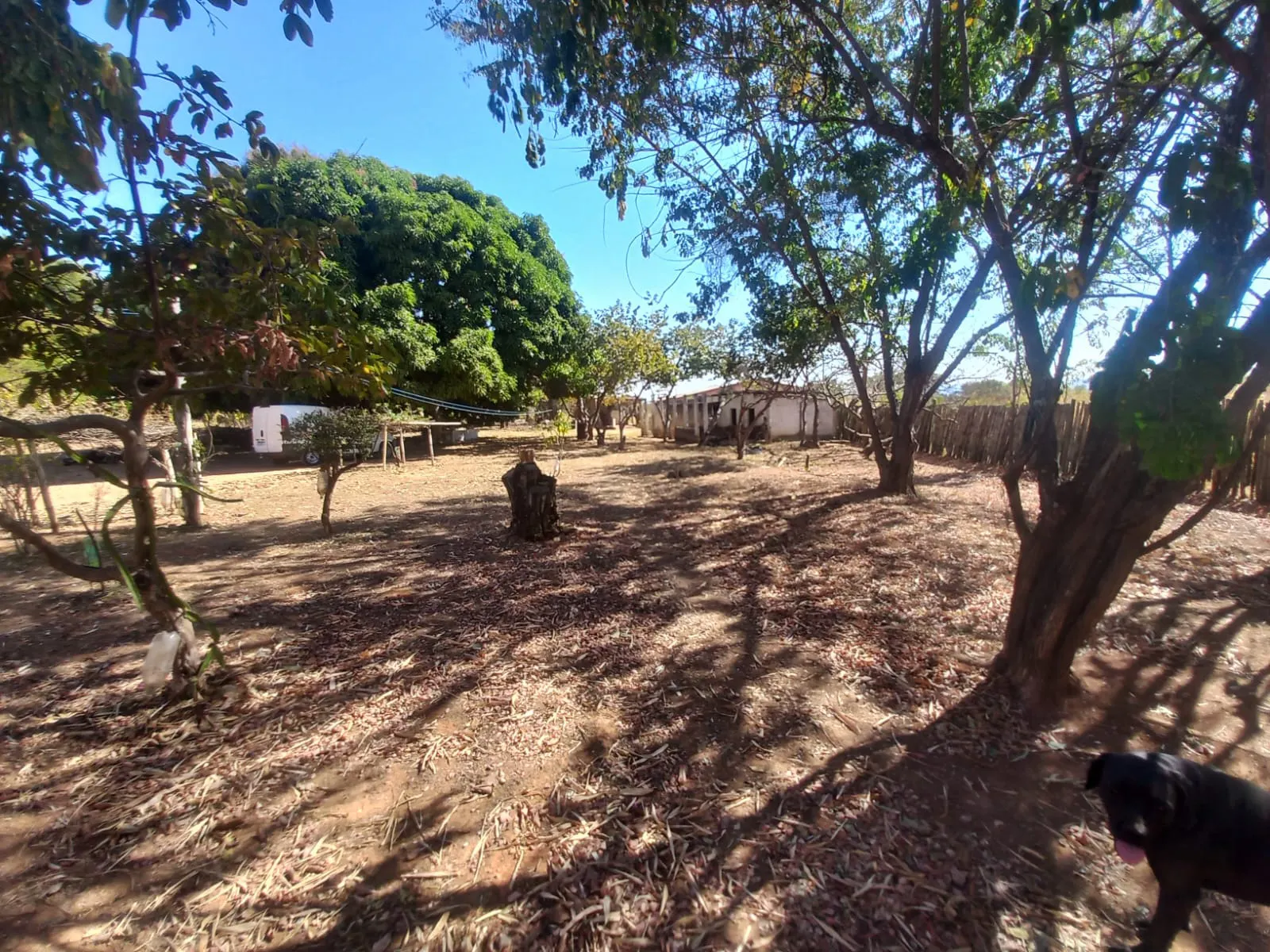 Sítio à venda de 7 ha em Brasília, DF, Brasil