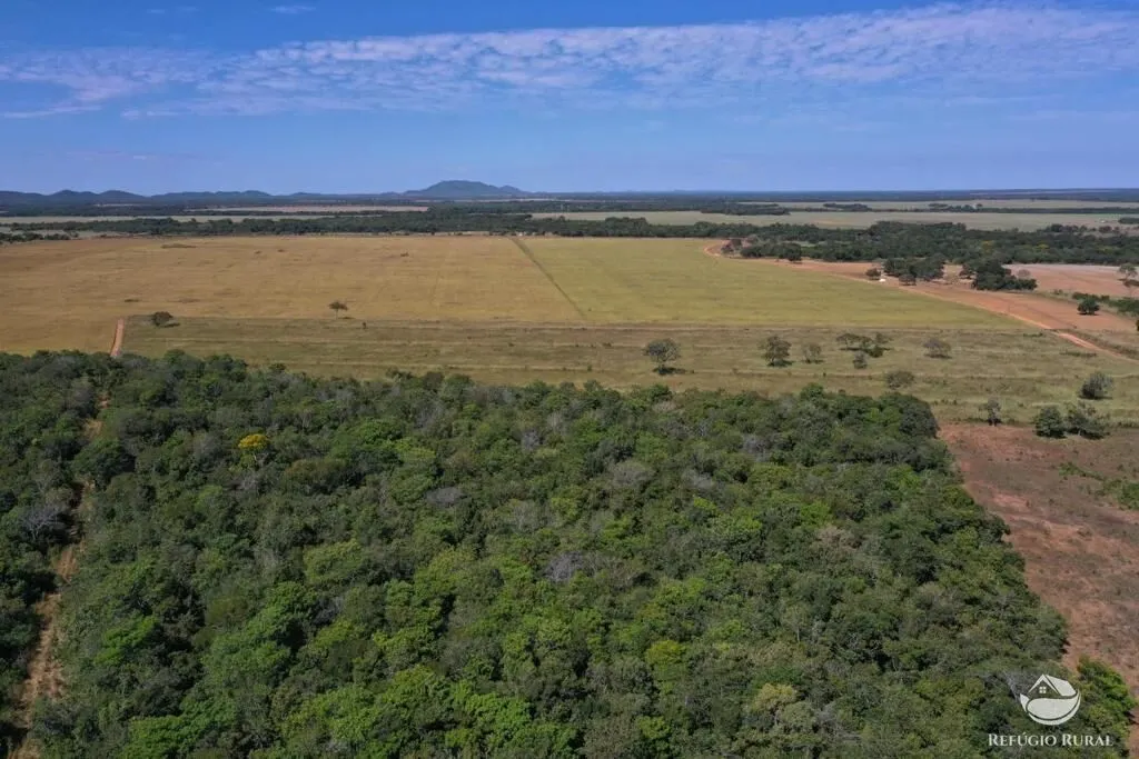 Fazenda à venda de 479 ha em Alvorada, TO, Brasil