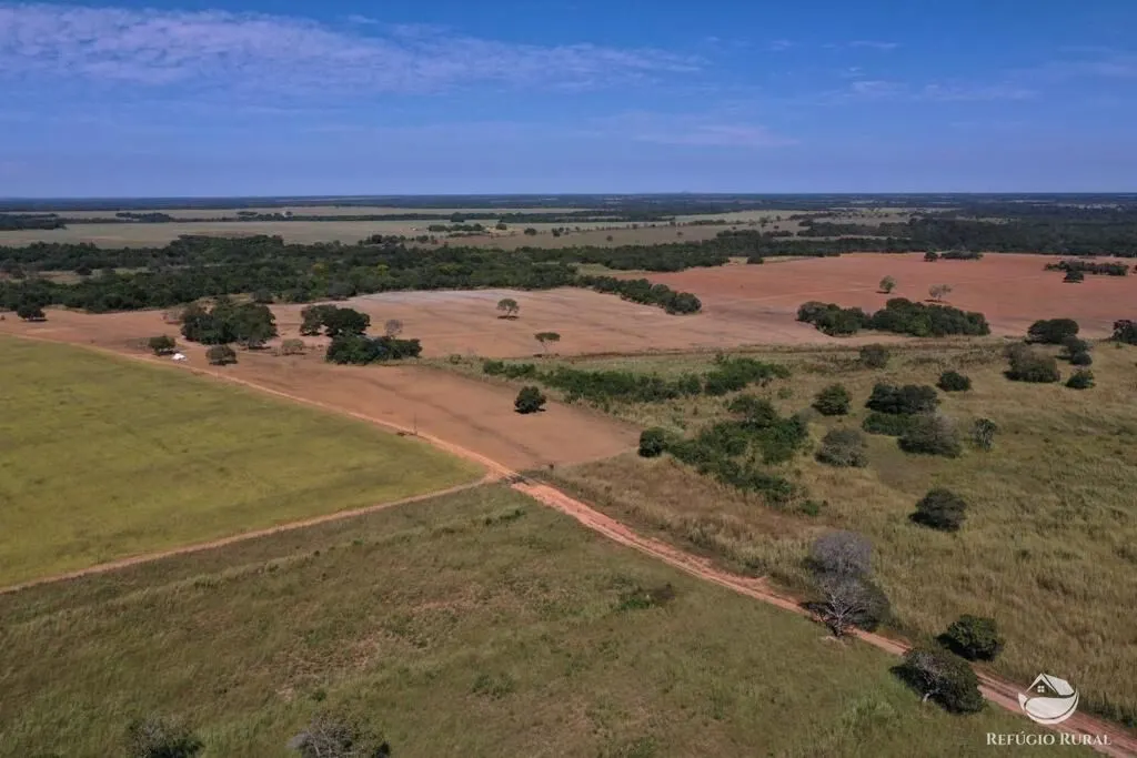 Fazenda à venda de 479 ha em Alvorada, TO, Brasil