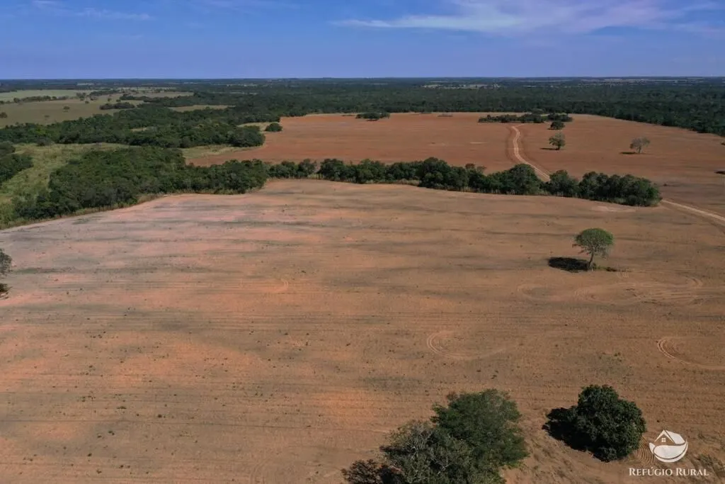 Fazenda à venda de 479 ha em Alvorada, TO, Brasil