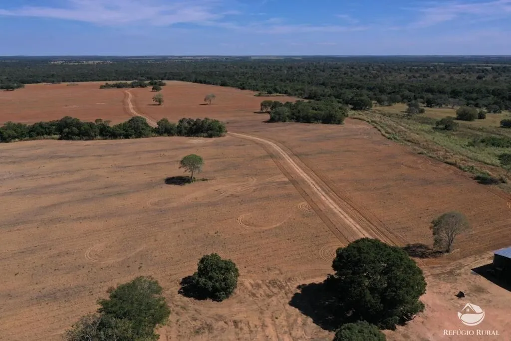Fazenda à venda de 479 ha em Alvorada, TO, Brasil