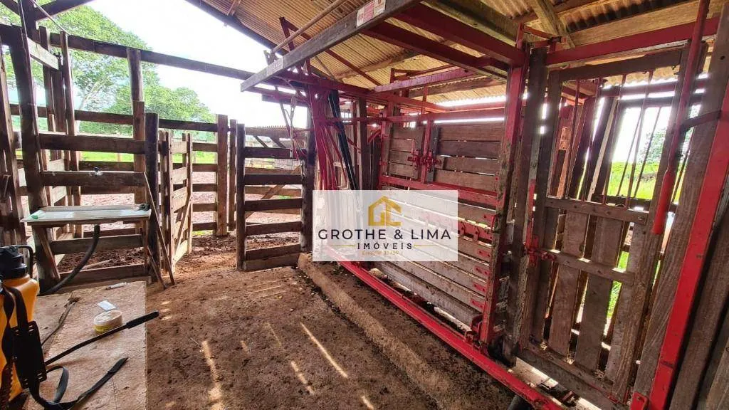 Fazenda à venda de 513 ha em Barrolândia, TO, Brasil